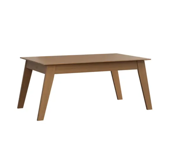 Astro Leg Table
